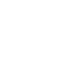 Voice Services: